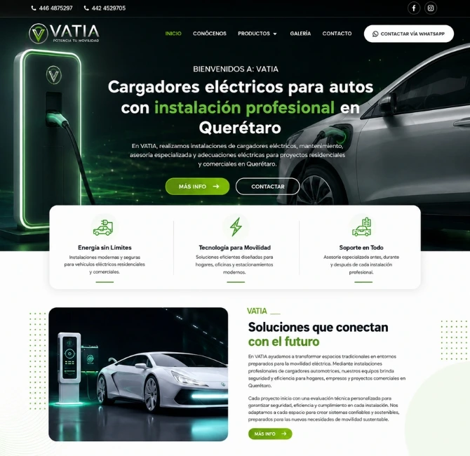 diseño web Tijuana